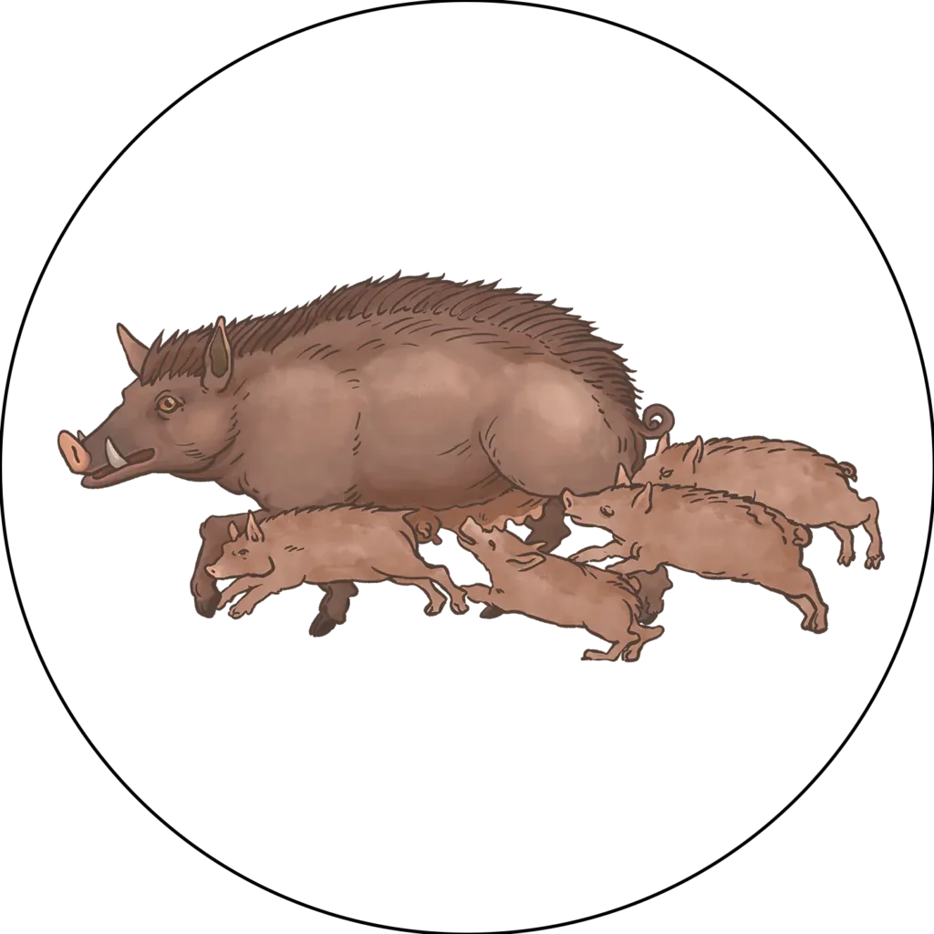 217-BUTIN_ANIMAL_COCHON