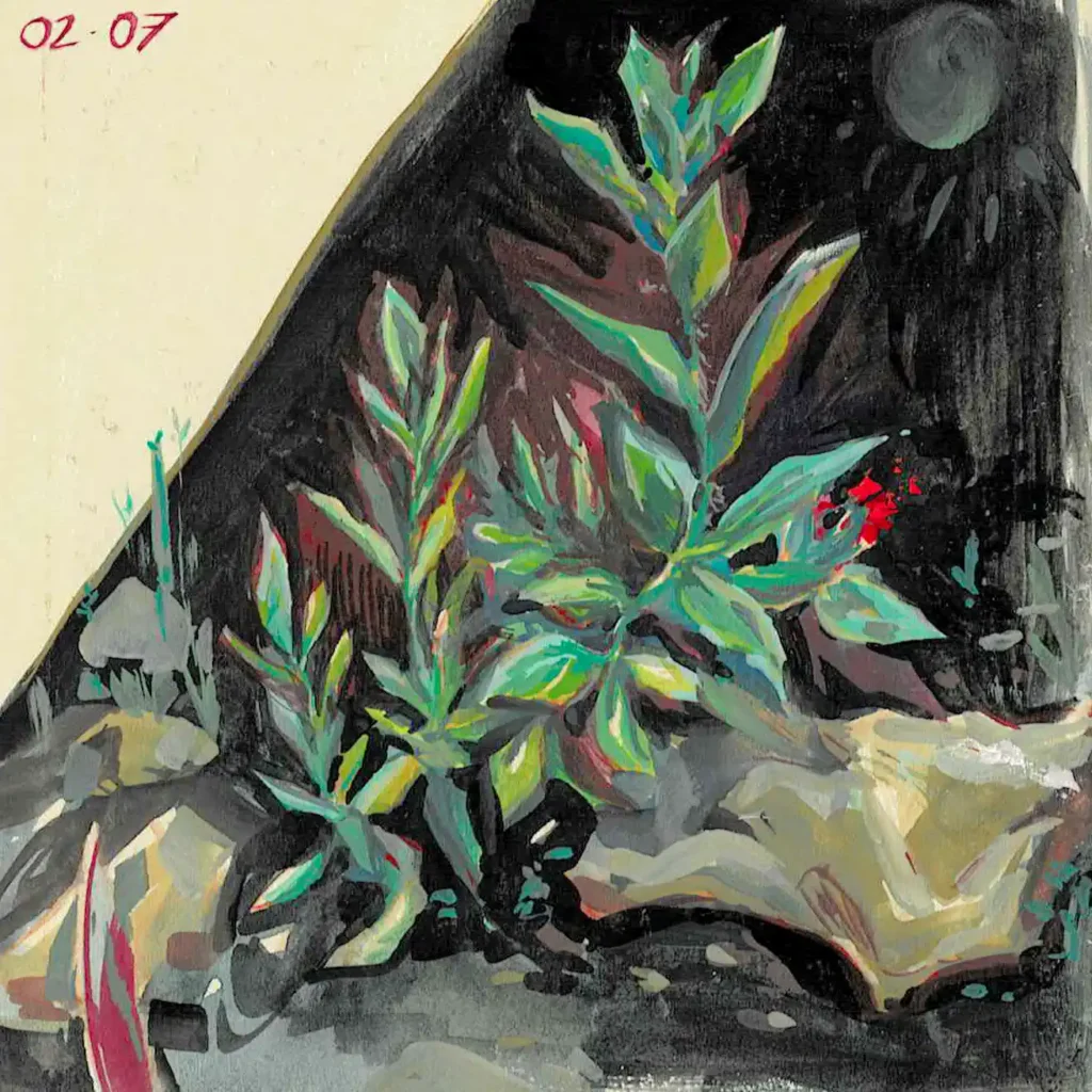 Carnets (6)