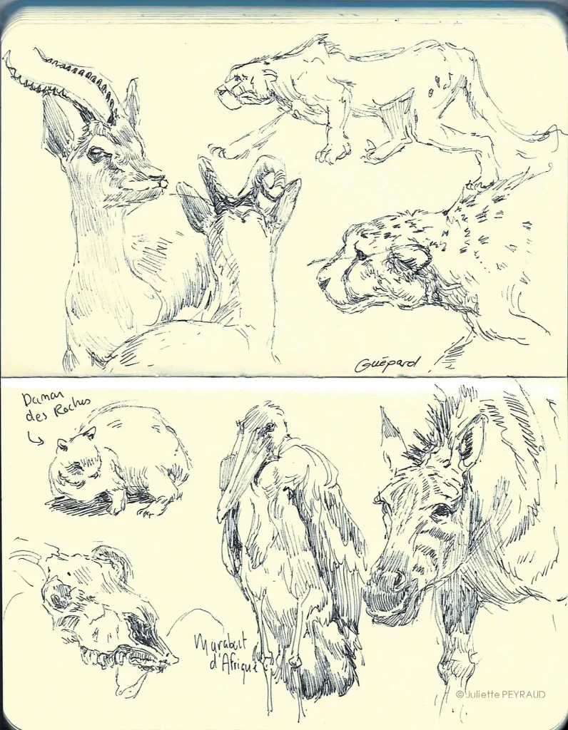 Retouches_Carnets-05